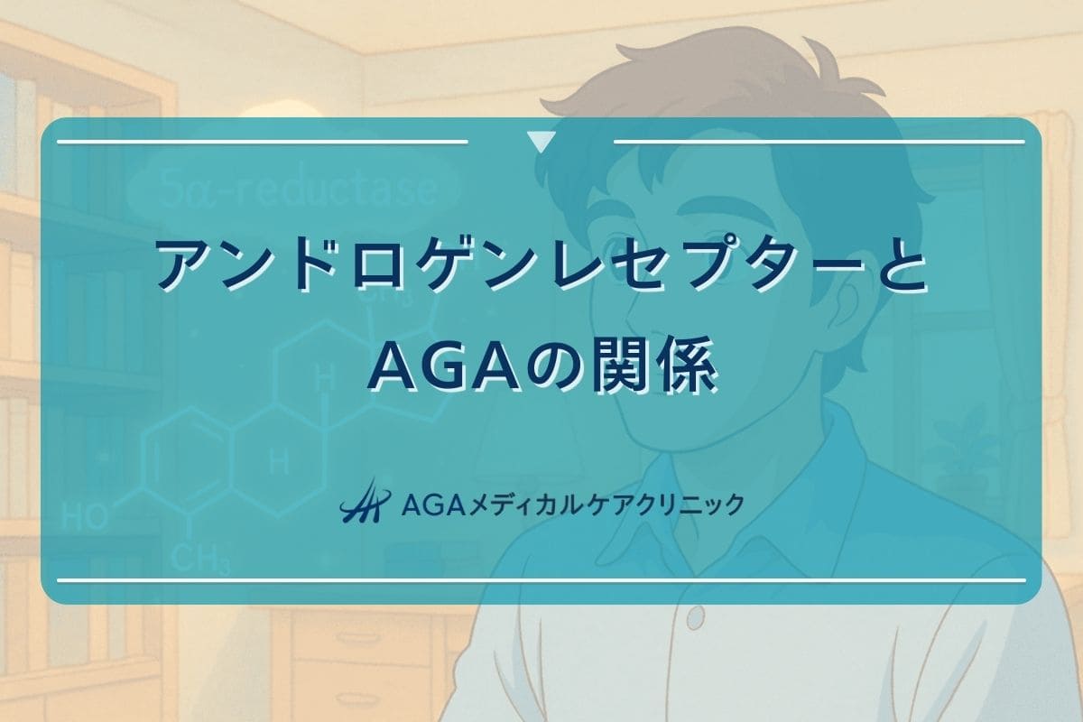 アンドロゲンレセプター, アンドロゲンレセプター 感受性
