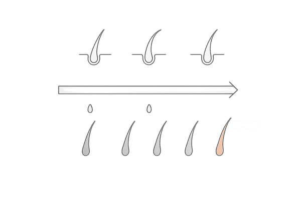 白髪が減るまでの期間目安｜ヘアサイクルと3～6か月のタイムライン（レンジバー）