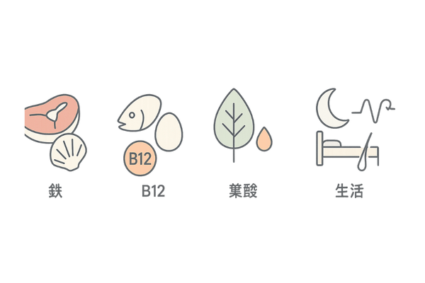 栄養と生活習慣で整える血液と髪|鉄・B12・葉酸・睡眠・ストレス