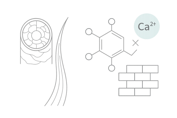 カルシウムは髪の主成分ではない：ケラチン中心とCaの位置づけ図