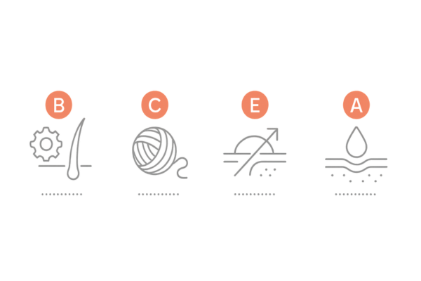 髪の成長を支える主要ビタミン（B群・C・E・A）の役割｜一目でわかる機能アイコン