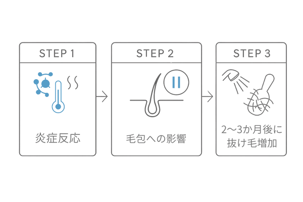 COVID-19後の休止期脱毛症の仕組みフロー図（炎症→休止期移行→2〜3か月後の抜け毛）