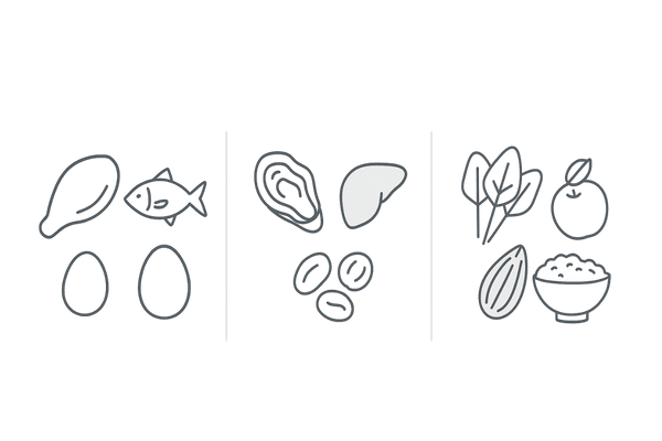 髪に重要な栄養素と多い食品（タンパク質・亜鉛・鉄/ビタミンの3カラム図）