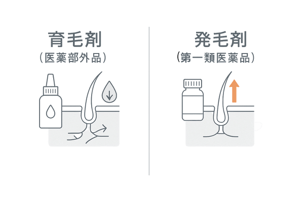 育毛剤と発毛剤の違い（ダイエット中の選び分け目安の2カラム比較）