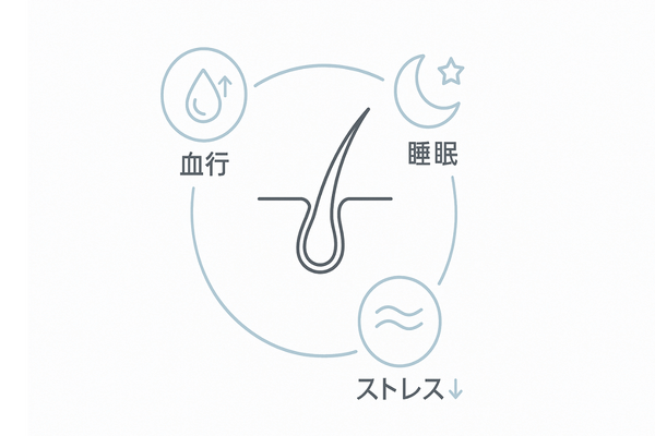 運動が髪に与える好循環（血行・ストレス・睡眠の相互作用）