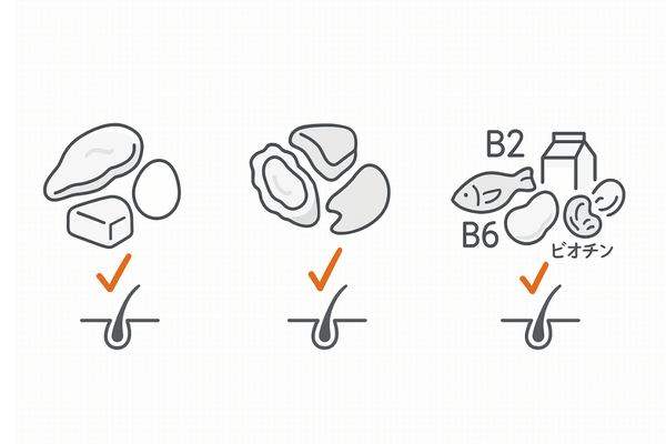 髪を育てる最重要栄養素トップ3(たんぱく質・亜鉛・ビタミンB群)のシンプル比較イラスト