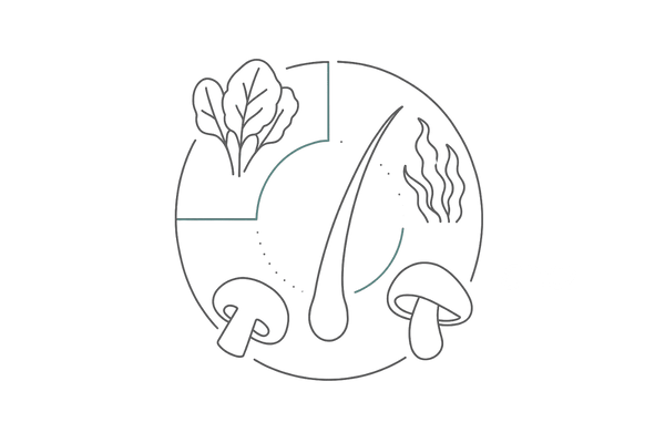 緑黄色野菜・海藻・きのこで頭皮環境を整える栄養循環イラスト