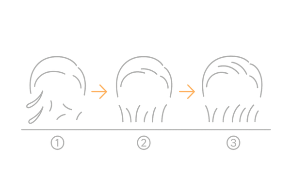 前髪育毛の効果実感タイムライン（1〜3ヶ月／3〜6ヶ月／6ヶ月以降）