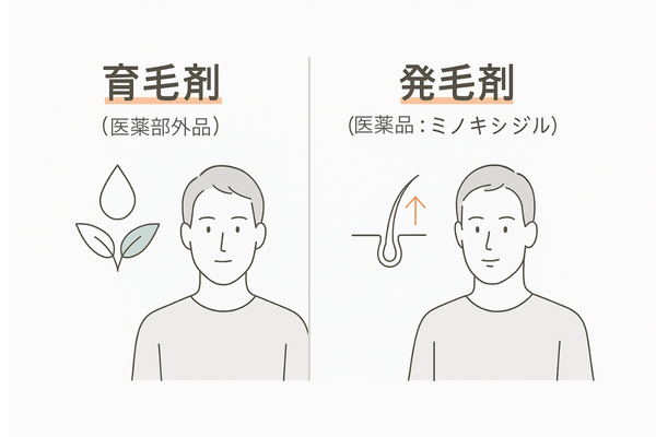 育毛剤と発毛剤の違い（ミノキシジルの位置づけ比較：医薬部外品と医薬品）