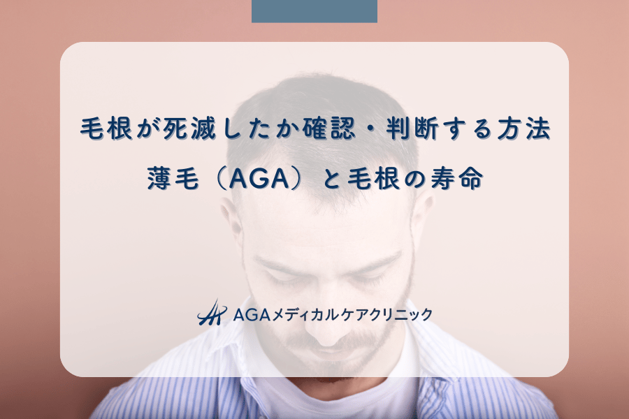 毛根が死滅したか確認・判断する方法｜薄毛（AGA）と毛根の寿命