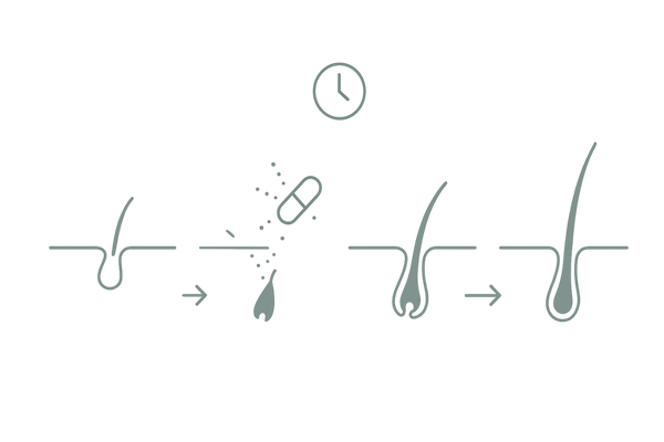 初期脱毛の仕組みと期間の目安｜毛周期の入れ替わりタイムライン