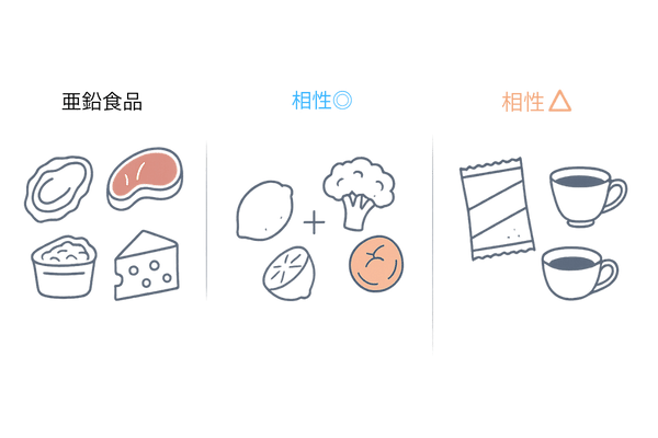 薄毛対策に効く亜鉛の食べ合わせ|牡蠣・牛赤身・納豆とビタミンCで吸収率アップ