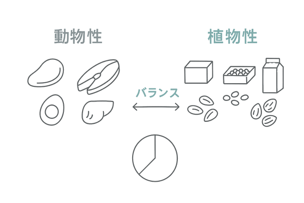 動物性×植物性タンパク質のバランス|薄毛対策のための上手な組み合わせ