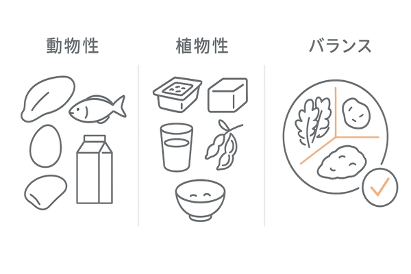 髪の主成分ケラチンを作るタンパク質:動物性・植物性のバランス図