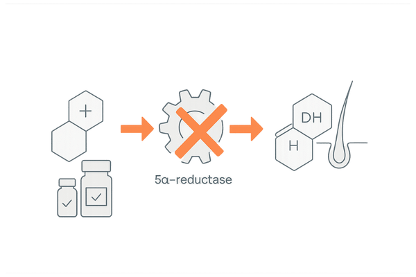 5αリダクターゼ阻害薬の作用機序｜フィナステリド・デュタステリドがDHT産生を抑える流れ