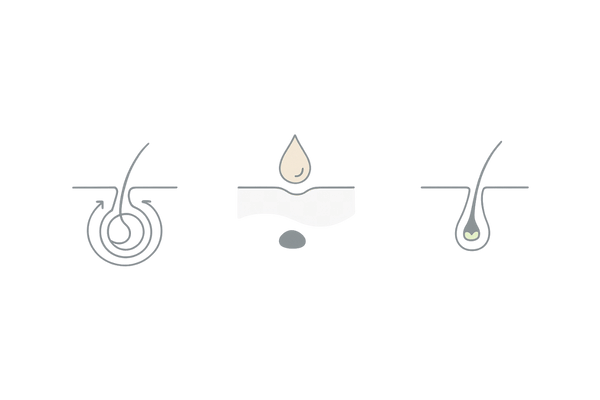 育毛剤の主要有効成分マップ（血行促進・抗炎症/保湿・毛母細胞サポート）3セグメント比較