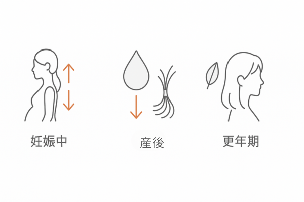 女性のライフステージ別（妊娠中・産後・更年期）ホルモン変動と髪の変化