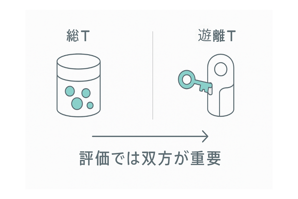 総テストステロンと遊離テストステロンの違い|活性の視覚的比較