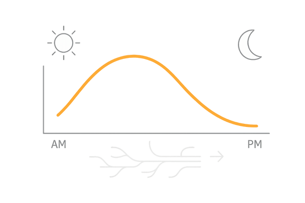 コルチゾールの日内リズム｜AM高→PM低の緩やかなカーブ