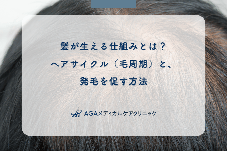 髪が生える仕組みとは？ヘアサイクル（毛周期）と、発毛を促す方法
