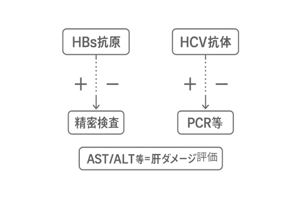 HBV/HCVのスクリーニング｜HBs抗原・HCV抗体からの次ステップ