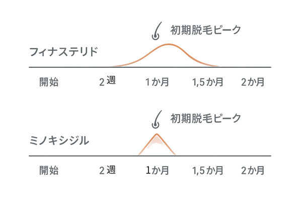 初期脱毛の期間比較タイムライン（フィナステリド vs ミノキシジル）