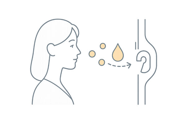 インスリン抵抗性の概念図(細胞・受容体・血糖とインスリンの関係)