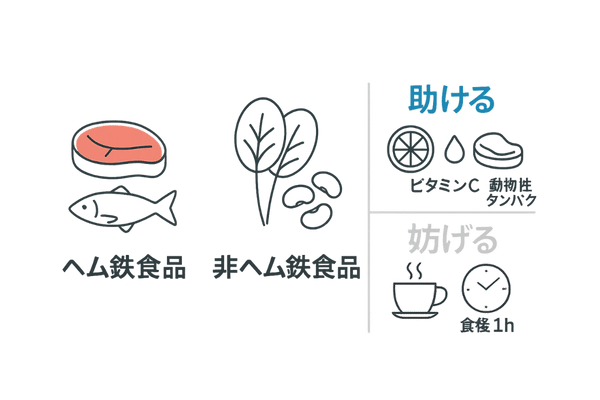 鉄吸収を高める食べ方:ヘム・非ヘム食品と助ける/妨げる要素