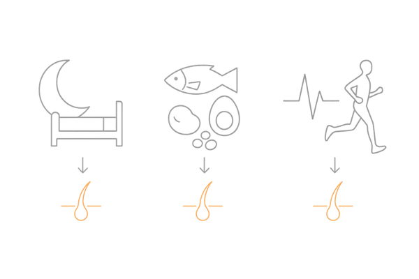 10代からできるAGA予防の生活習慣|睡眠・栄養・ストレス/運動の3カラム図