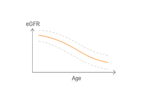 eGFRと加齢の関係|年齢とともに低下する傾向の概念図