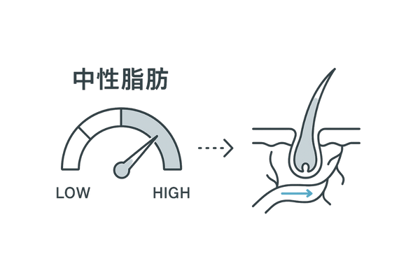 中性脂肪が高いときの粘度上昇と頭皮循環への影響