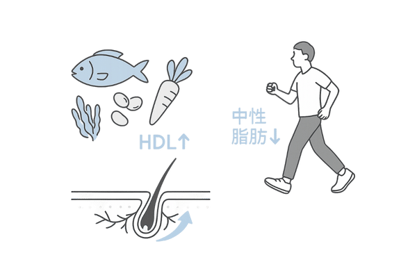 食事と運動での改善イメージ（HDL↑・中性脂肪↓と頭皮循環の向上）