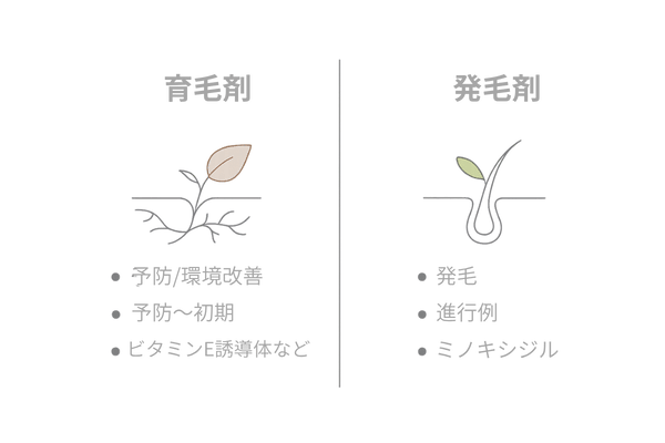 男性向け｜育毛剤と発毛剤の違いを一目で理解（目的・対象・代表成分の比較図）
