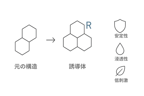 ミノキシジルの作用機序イメージ｜血管拡張と毛母細胞活性化のフロー