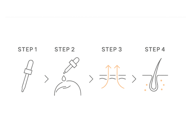 ミノキシジル外用薬の作用フロー（局所から毛包へ）｜ミノキシジル 外用 効果 メカニズム