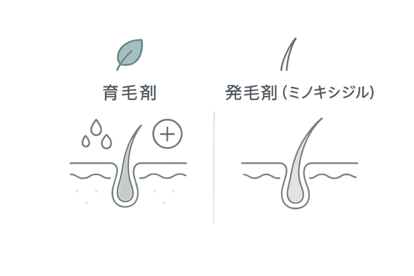 育毛剤と発毛剤の違い｜役割と法的分類の比較図（男性向け）