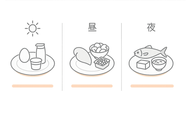 1日で分けて摂るタンパク質|朝・昼・夜のバランスと食品例(卵・鶏むね・青魚・大豆)