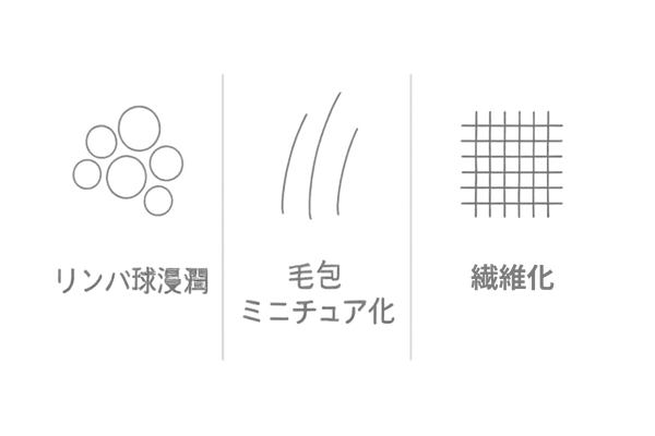 病理診断レポートの見方