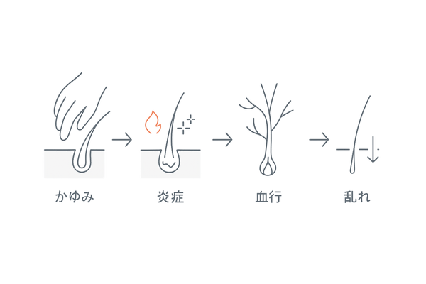 かゆみ→掻破→炎症→血行低下→ヘアサイクル乱れの因果フロー図