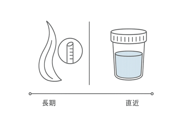 毛髪ミネラル検査と尿検査の比較