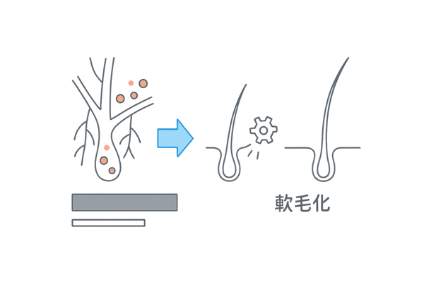 血行不良が髪に与える影響：栄養・酸素不足→軟毛化