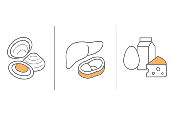 ビタミンB12が多い食品の比較(貝類/レバー・赤身肉/卵・乳製品)