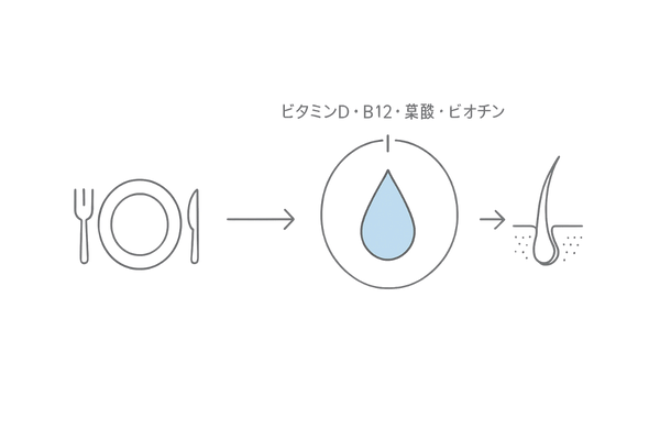 ビタミン検査で髪の栄養状態を可視化する概要フロー(食事→血液→毛包)
