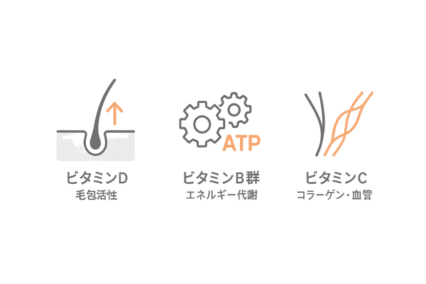 髪に重要なビタミンD・B群・C