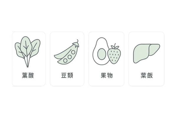 葉酸を多く含む食品のシンプルラインアイコン(葉物・豆・果物・レバー)