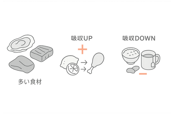 亜鉛を多く含む食材と吸収のコツ｜牡蠣・赤身肉・レバー＋レモン／避けたい組み合わせ