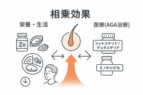 亜鉛は“土台作り”｜栄養＋AGA治療の二軸アプローチ比較図（フィナステリド／デュタステリド・ミノキシジル）