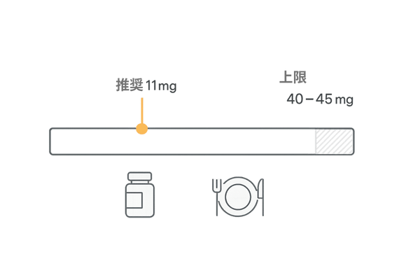 亜鉛の1日推奨量と耐容上限量の図解（成人男性：推奨11mg／上限40–45mg）｜育毛目的でも安全域を守る