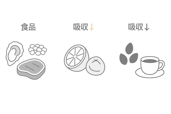 亜鉛を多く含む食品と上手な摂り方（吸収を高める栄養素・妨げる成分の整理）｜食事で過剰を避ける
