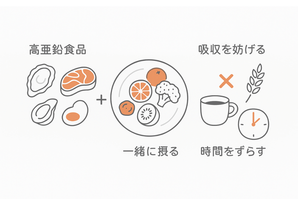 亜鉛を多く含む食品と吸収率を高める食べ合わせ｜避けたい飲み合わせも